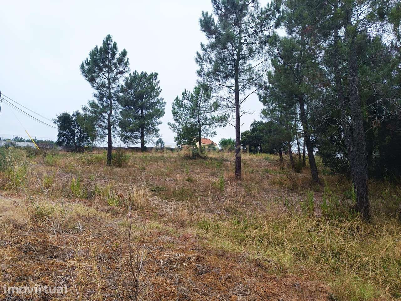 Terreno à Venda em Barca Nova, Tomar – 5.680 m² de Oportunidade! - Grande imagem: 3/7