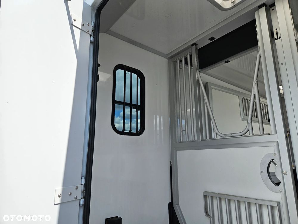 Renault Master koniowóz 170 KM automat - 14