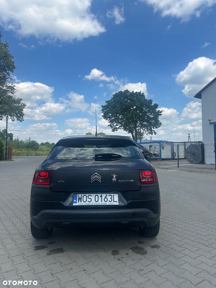 Citroën C4 Cactus 1.2 PureTech Feel Elite EU6 - 4