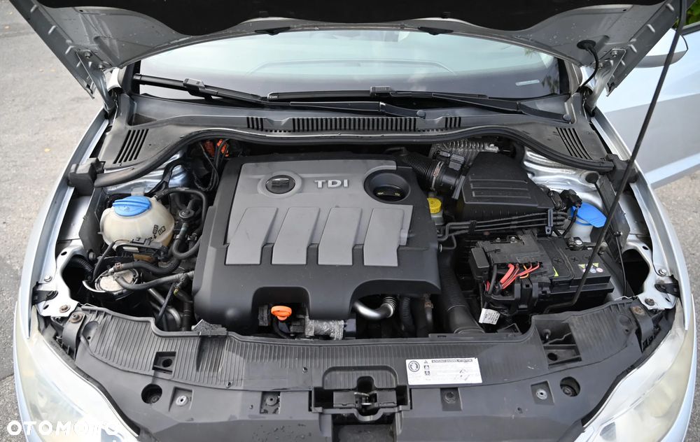Seat Ibiza - 31