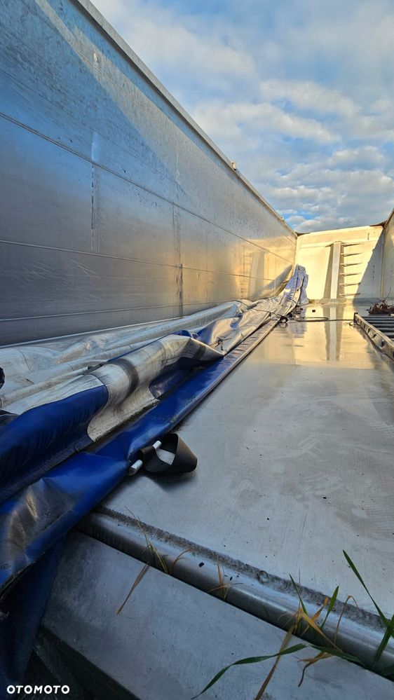 Benalu 50M - 24