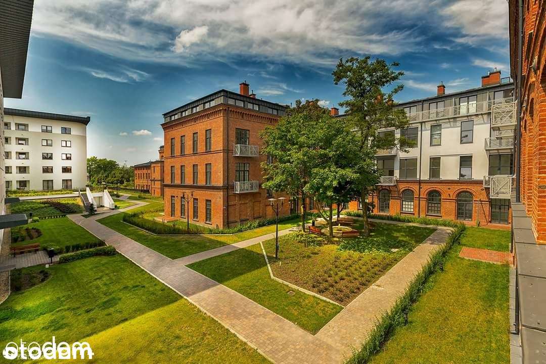 Wynajem Biuro Lokal użytkowy Loft 52m Centru bezpś - Pełny obrazek: 4/19