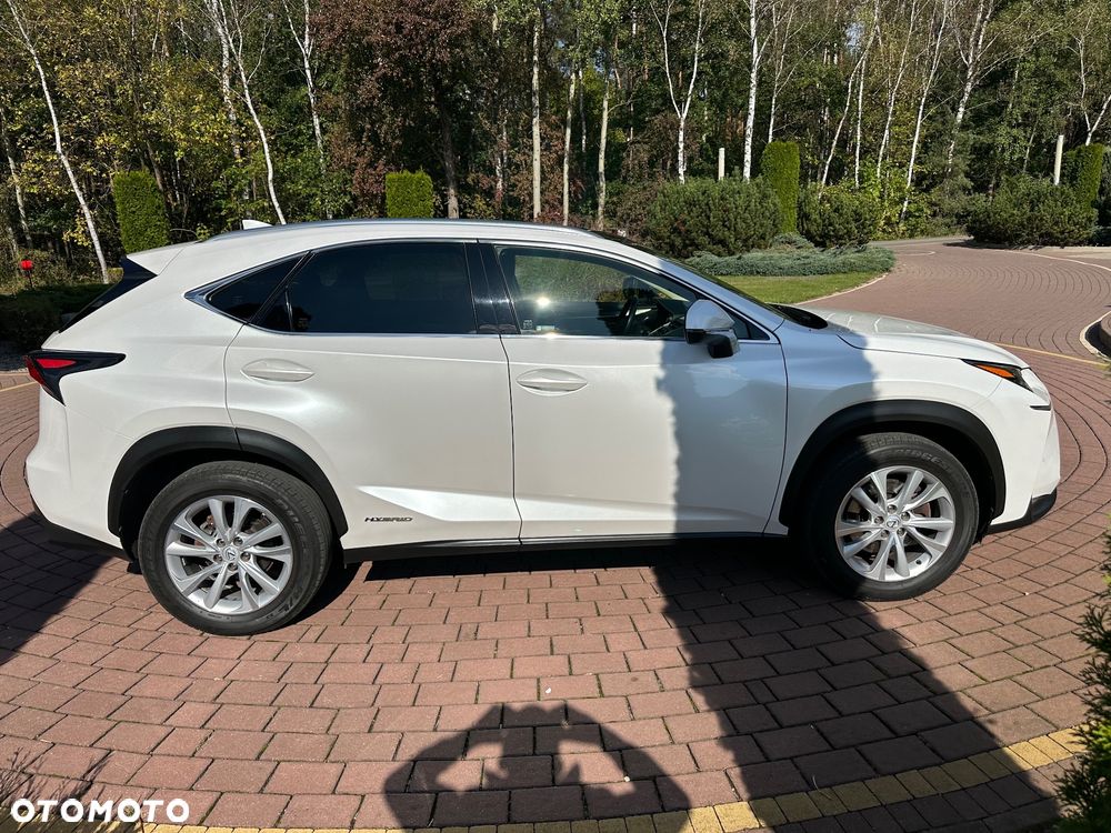 Lexus NX - 3