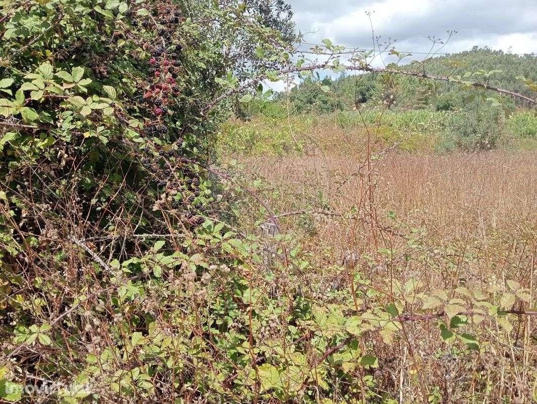 Terreno  para venda - Grande imagem: 3/3