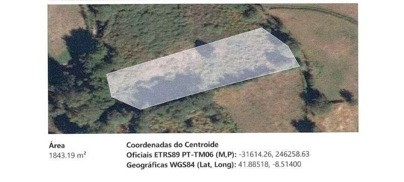 Terreno agrícola - Grande imagem: 3/3