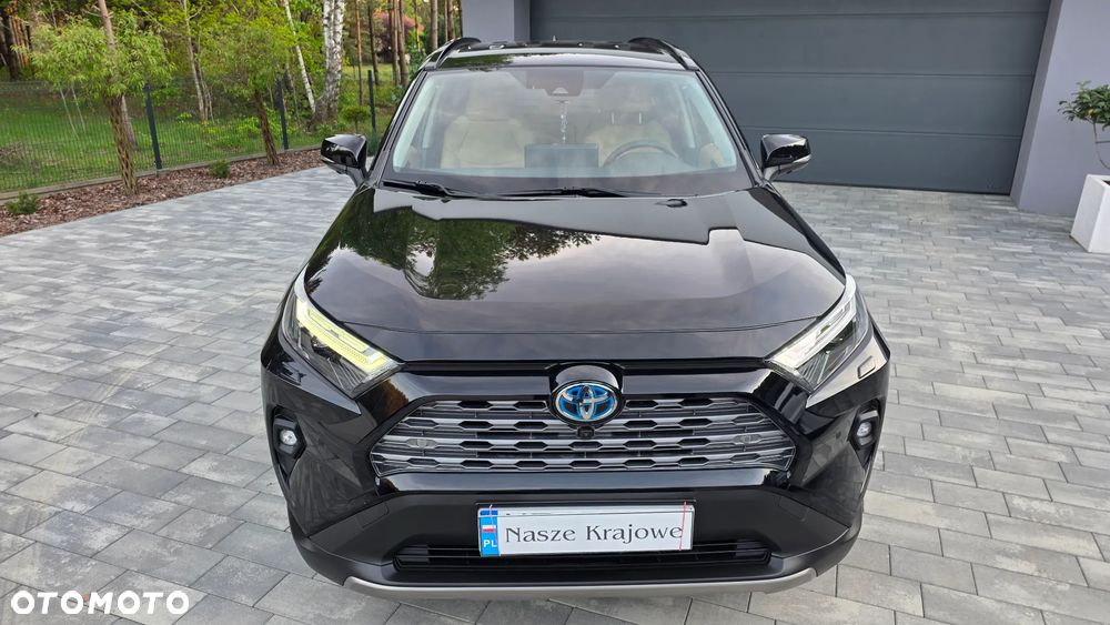 Toyota RAV4 2.5 Hybrid Executive 4x2 - 18
