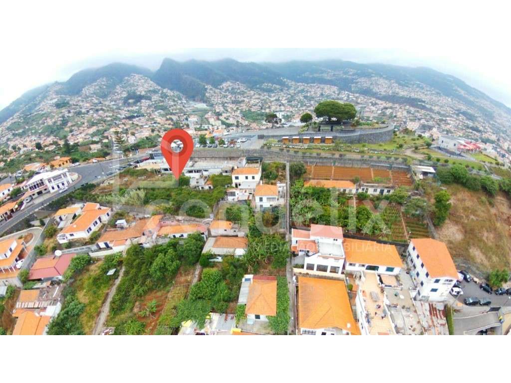 Terreno com 5830m2 no Pico dos Barcelos - Grande imagem: 3/10