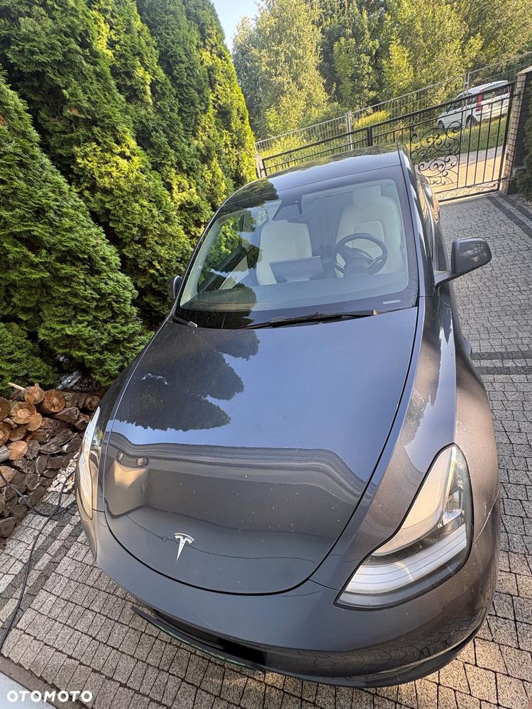Tesla Model Y RWD - 2