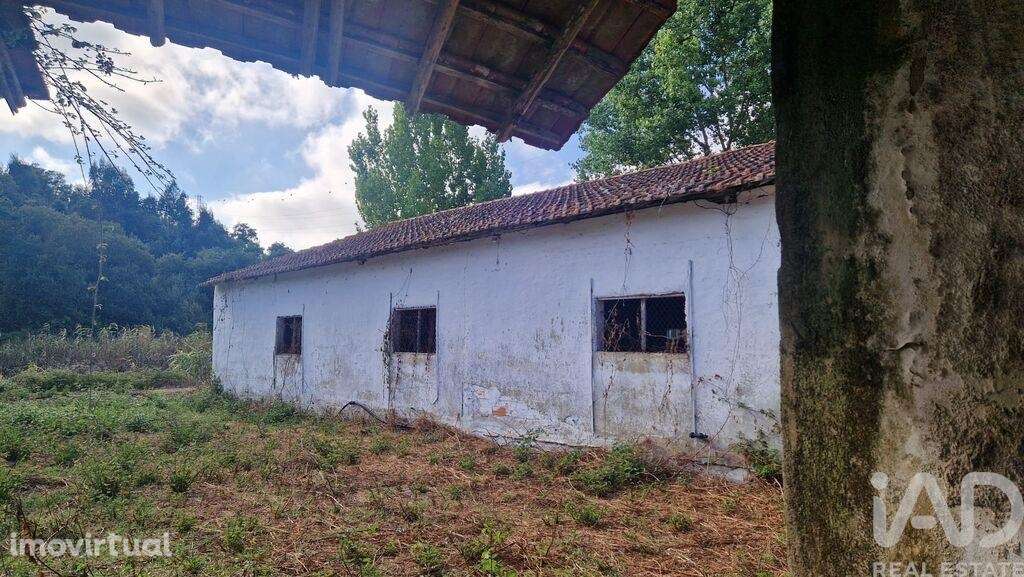 Casa / Villa em Golpilheira de 3294,00 m2 - Grande imagem: 3/27