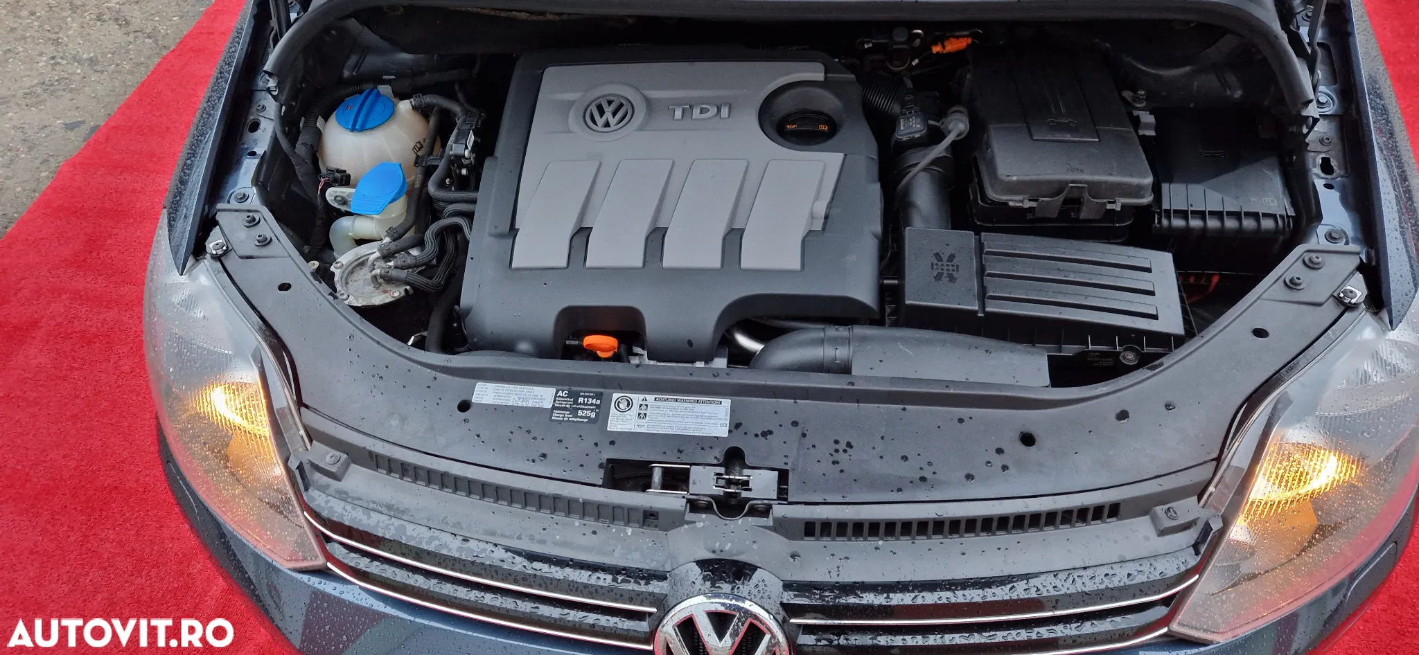 Volkswagen Golf Plus 1.6 TDI DPF BlueMotion Technology Team - 9