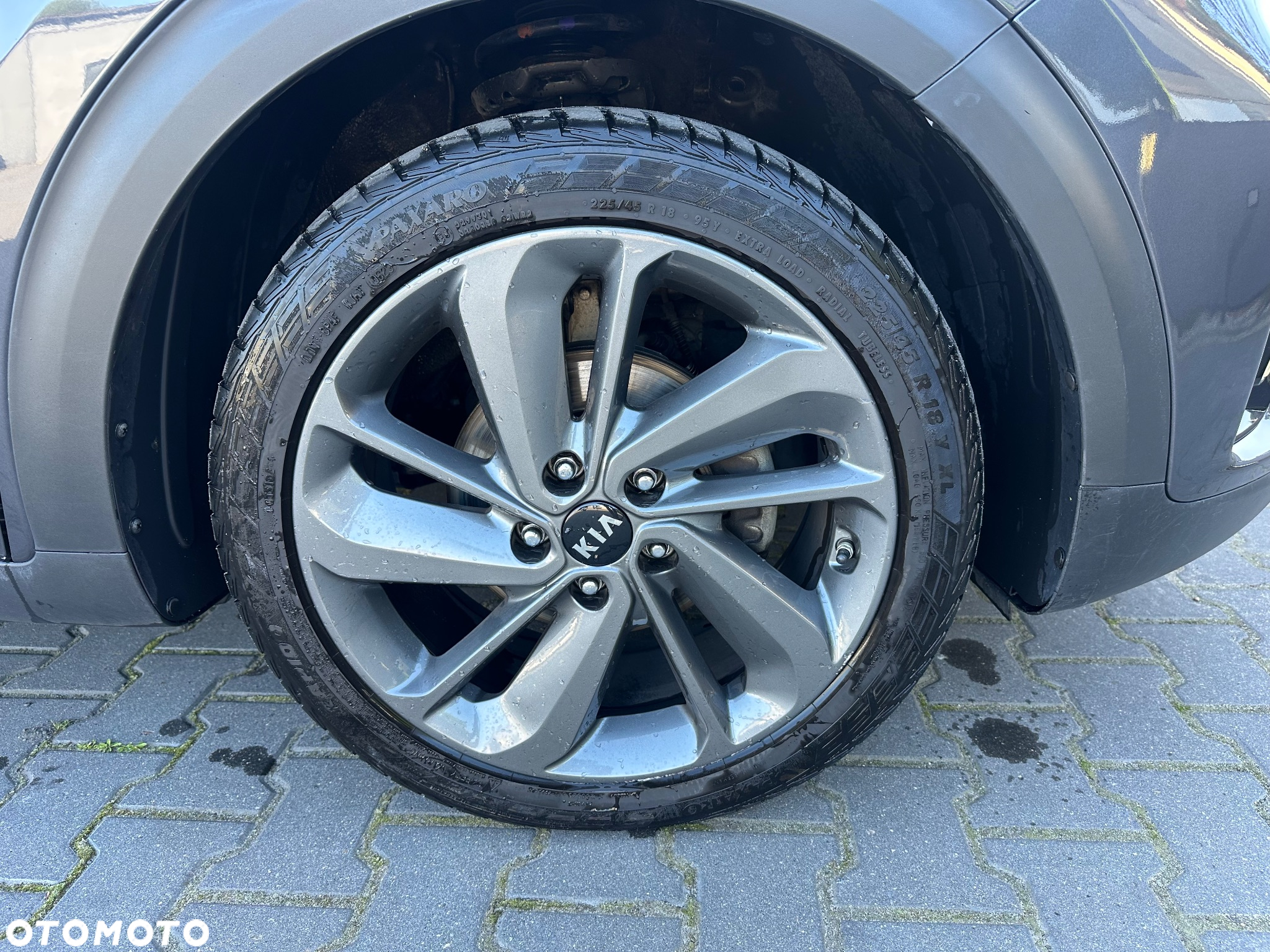 Kia Niro 1.6 GDI Hybrid L Business Line - 20