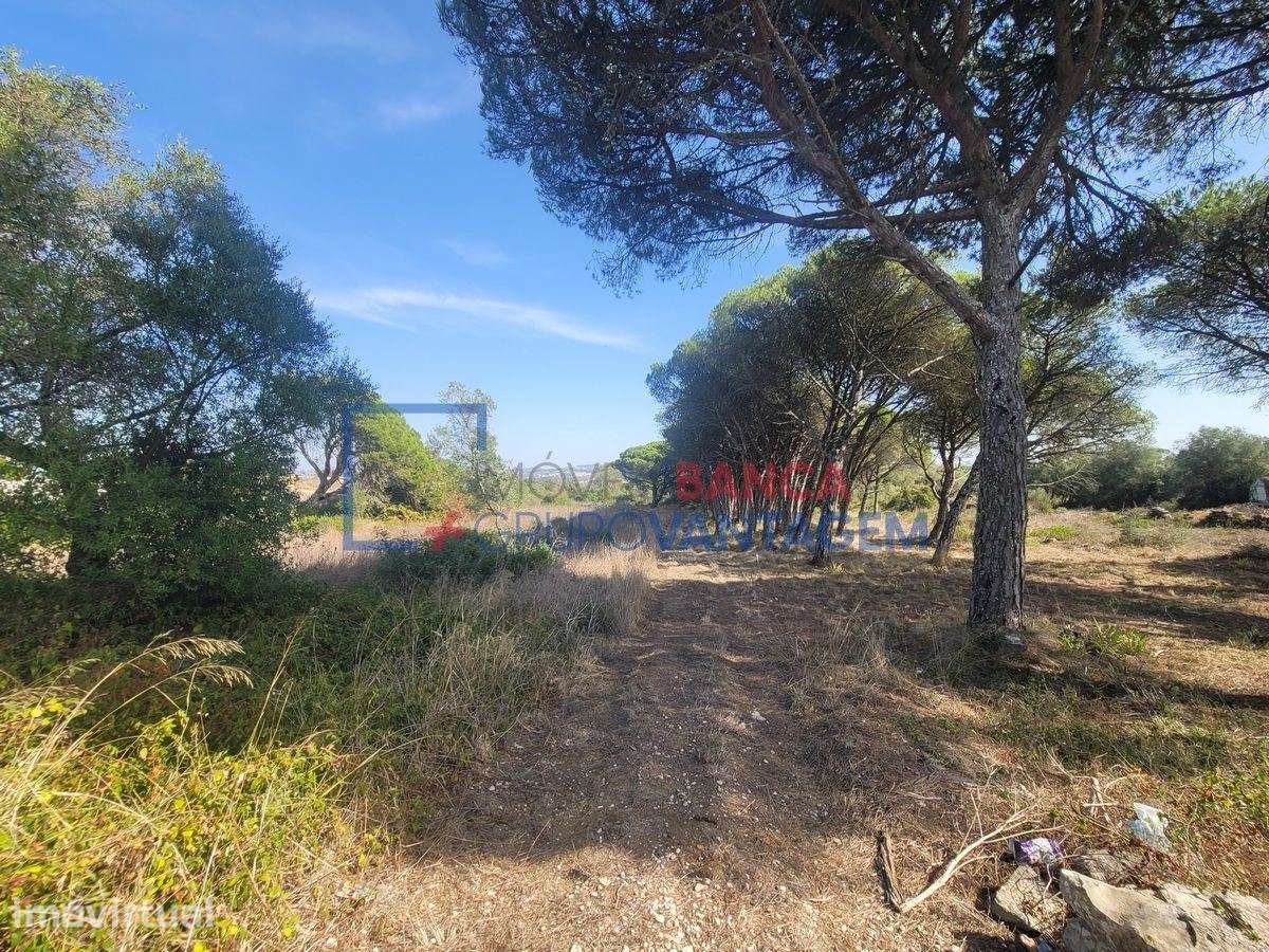 TERRENO RUSTICO 24040 m2  - TERRUGEM - Grande imagem: 5/30