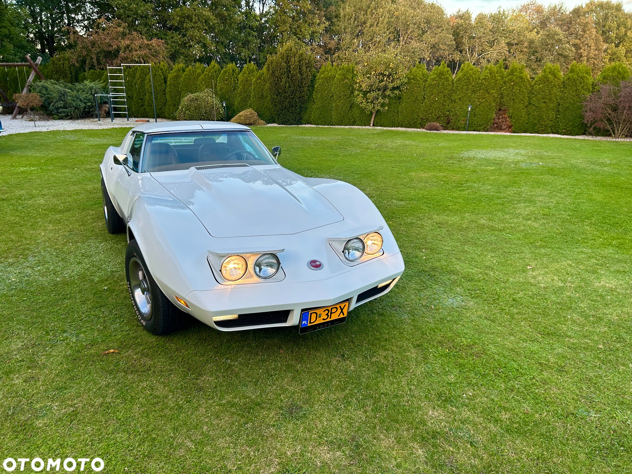 Chevrolet Corvette - 14