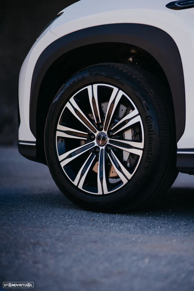 BYD Sealion 7 - 13