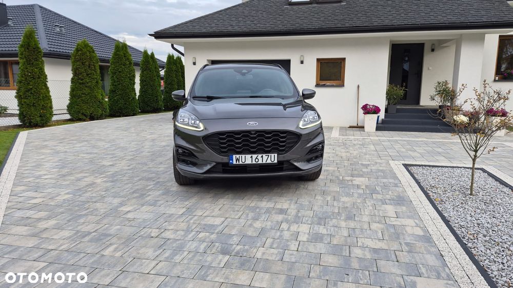 Ford Kuga 2020 photo 3