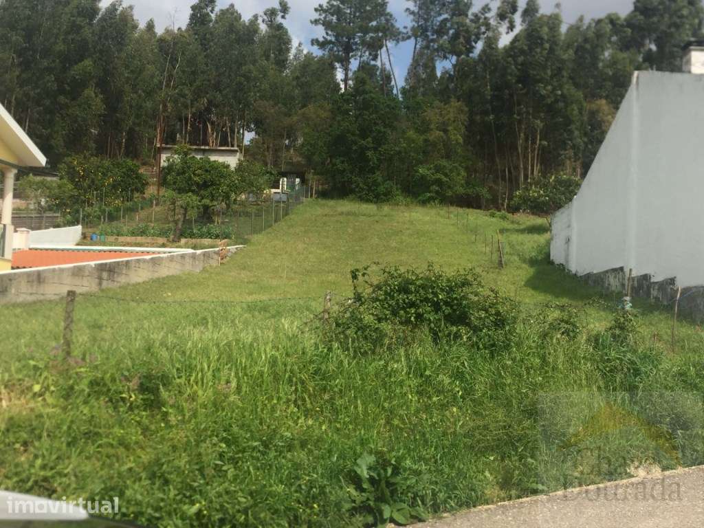 Terreno para construção perto de São Marinho do Bispo. - Grande imagem: 3/7