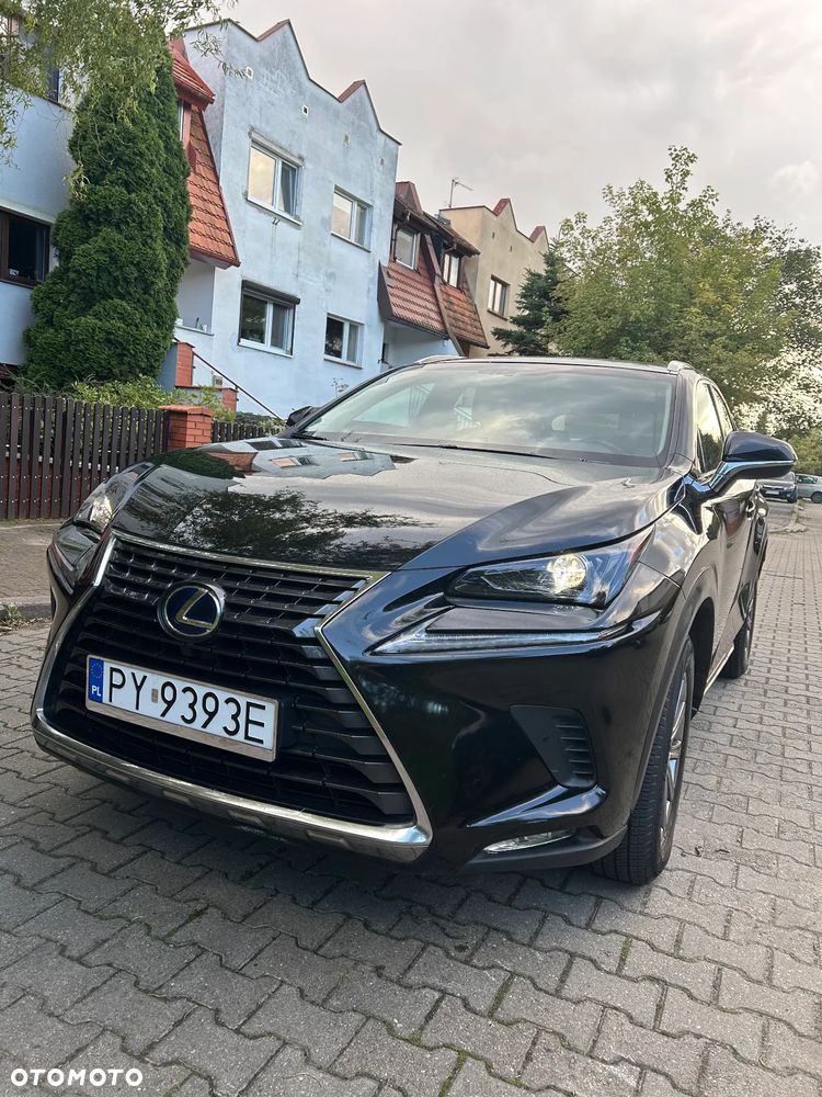 Lexus NX - 1