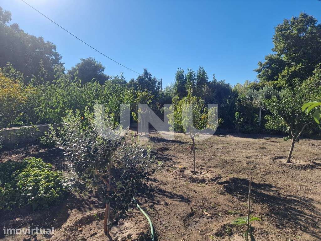 Quinta - Reguengo e São Julião - Um refúgio entre o campo e a serra! - Grande imagem: 3/36