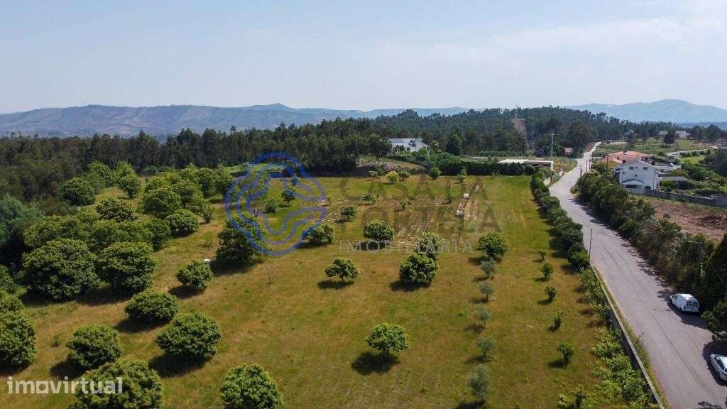 Quinta Rural com Potencial em Canedo, Santa Maria da Feira - Grande imagem: 5/29