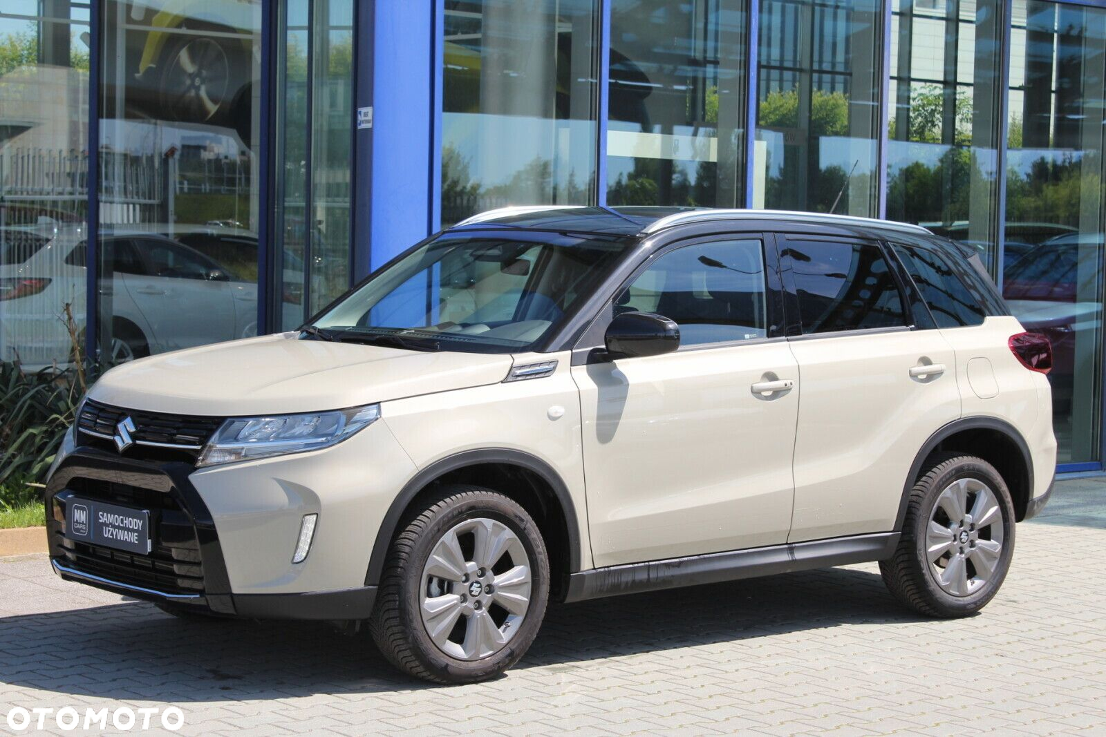 Suzuki Vitara - 3