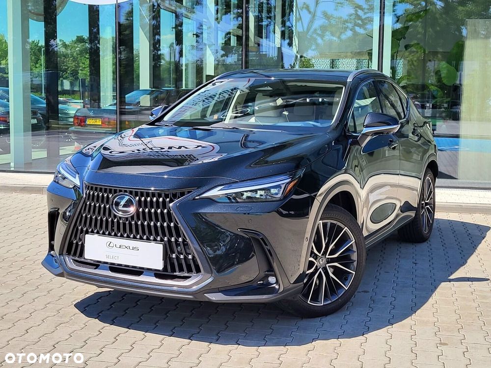 Lexus NX - 11