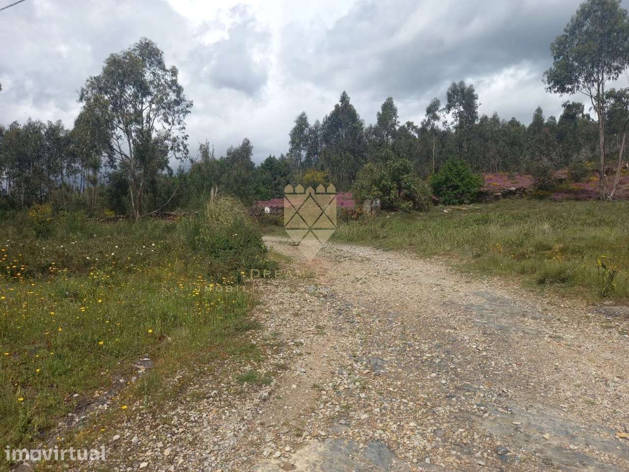 Oportunidade Única: Terreno com 4 Casas para Restauro em Zona de Ref? - Grande imagem: 3/20