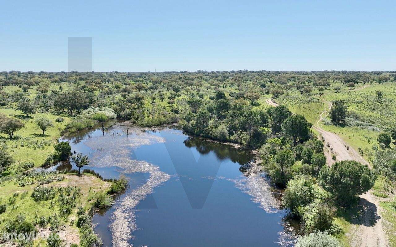 Refúgio Ideal no Alentejo: Investimento único com Potencial Agrícola e - Grande imagem: 5/39