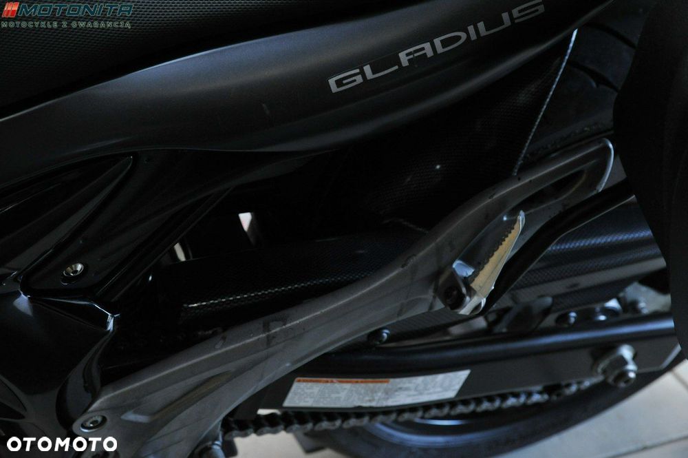 Suzuki Gladius - 14