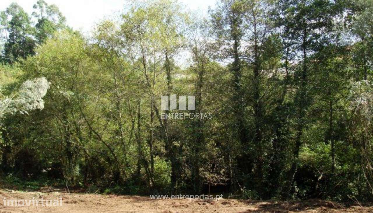 Venda de Terreno, Forjães, Esposende - Grande imagem: 2/27