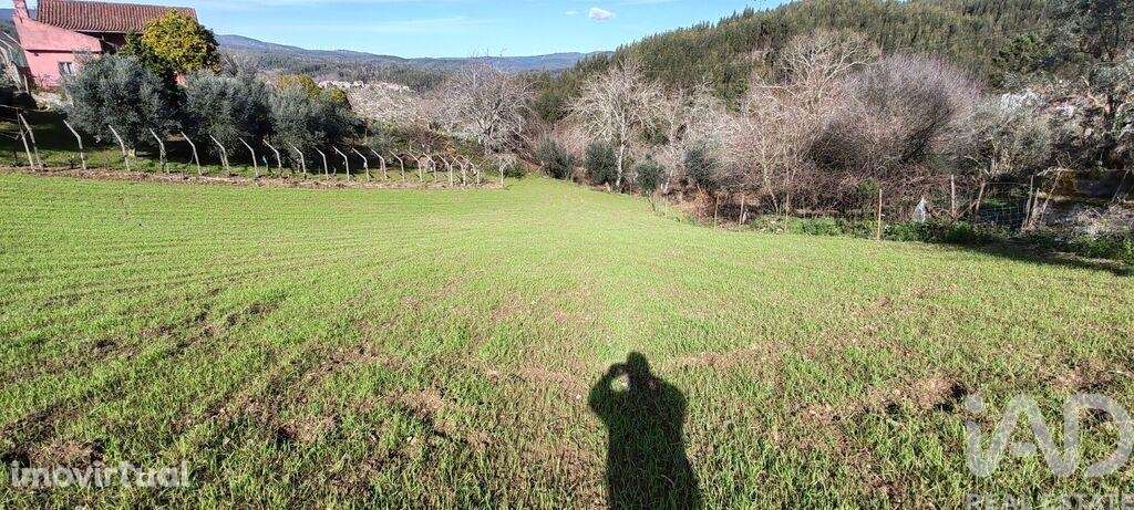 Terreno em Aguda de 1301,00 m2 - Grande imagem: 2/16