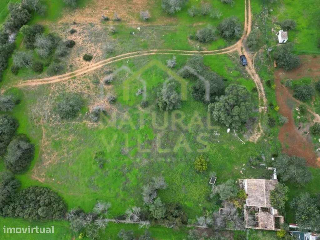 Terreno com Ruína em Mata Lobos, Faro - Grande imagem: 2/9