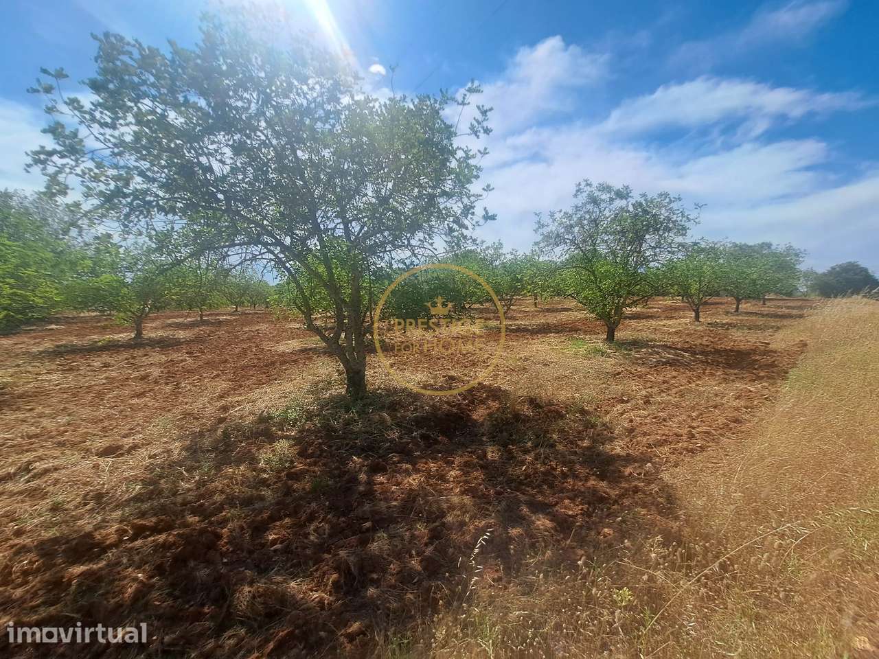 Terreno, 10 892 m², Paderne - Grande imagem: 5/15