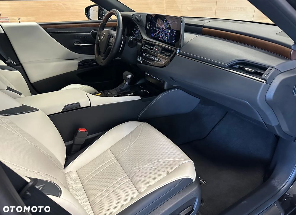 Lexus ES 300h Omotenashi - 7