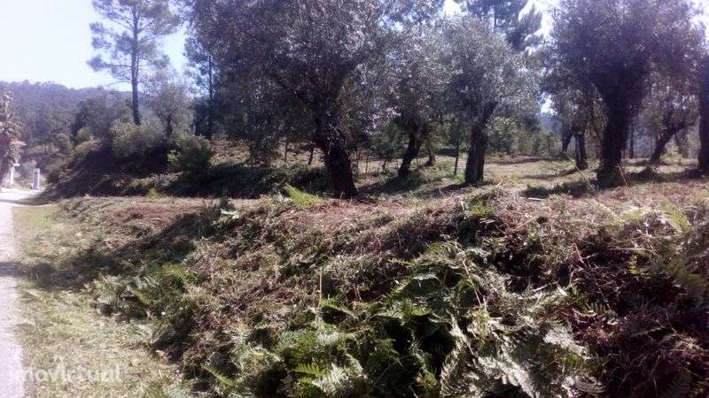 Terreno para construção - Grande imagem: 3/4