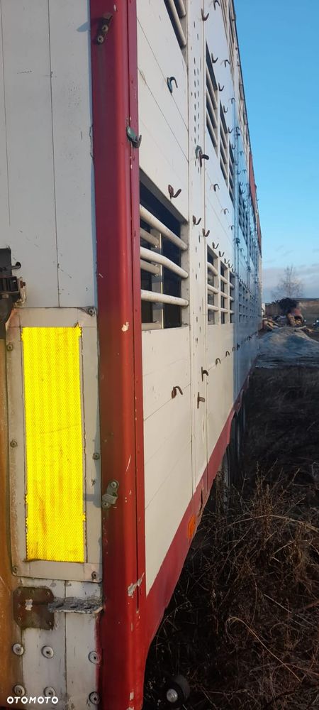 Zorzi 36s 136/19 LA - 32