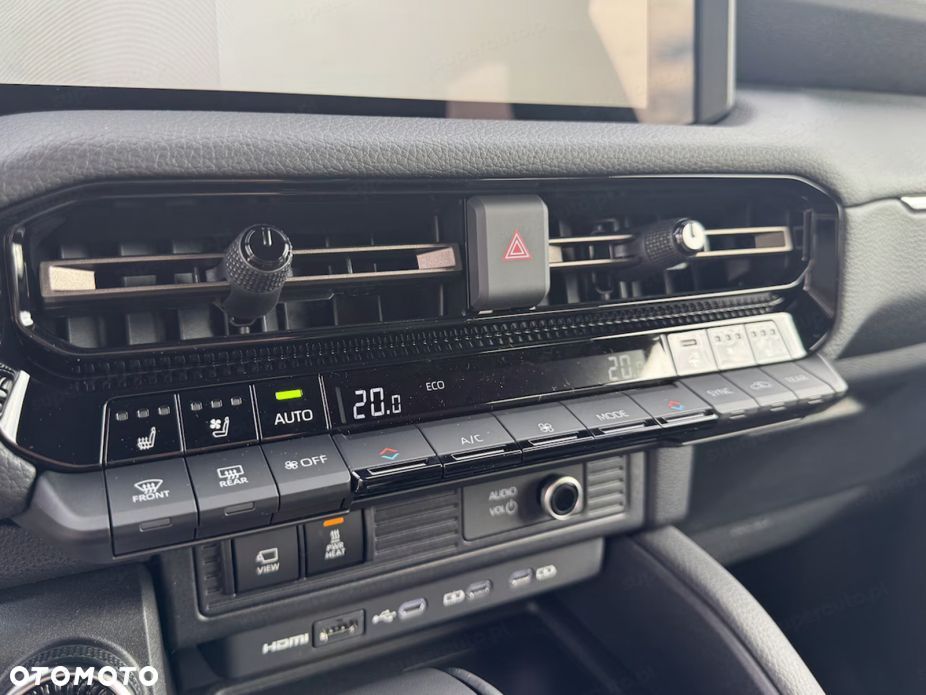 Toyota Land Cruiser - 11
