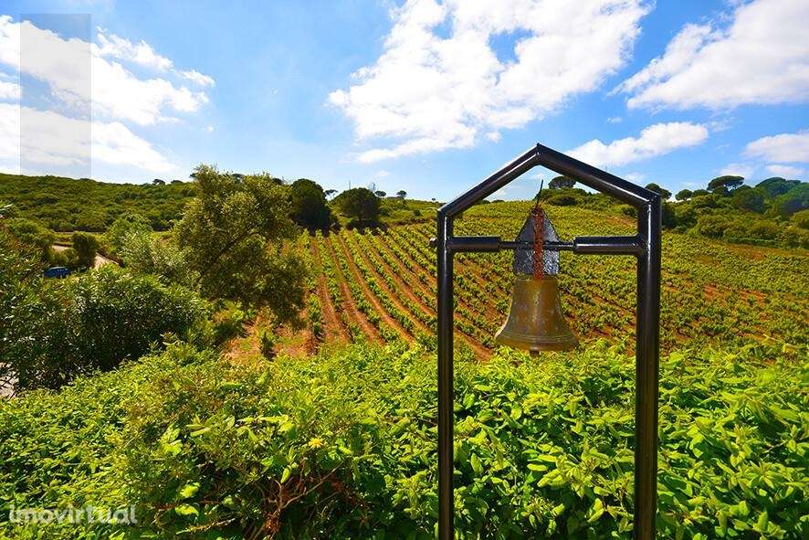 Quinta Parque Natural Arrábida - Grande imagem: 2/47