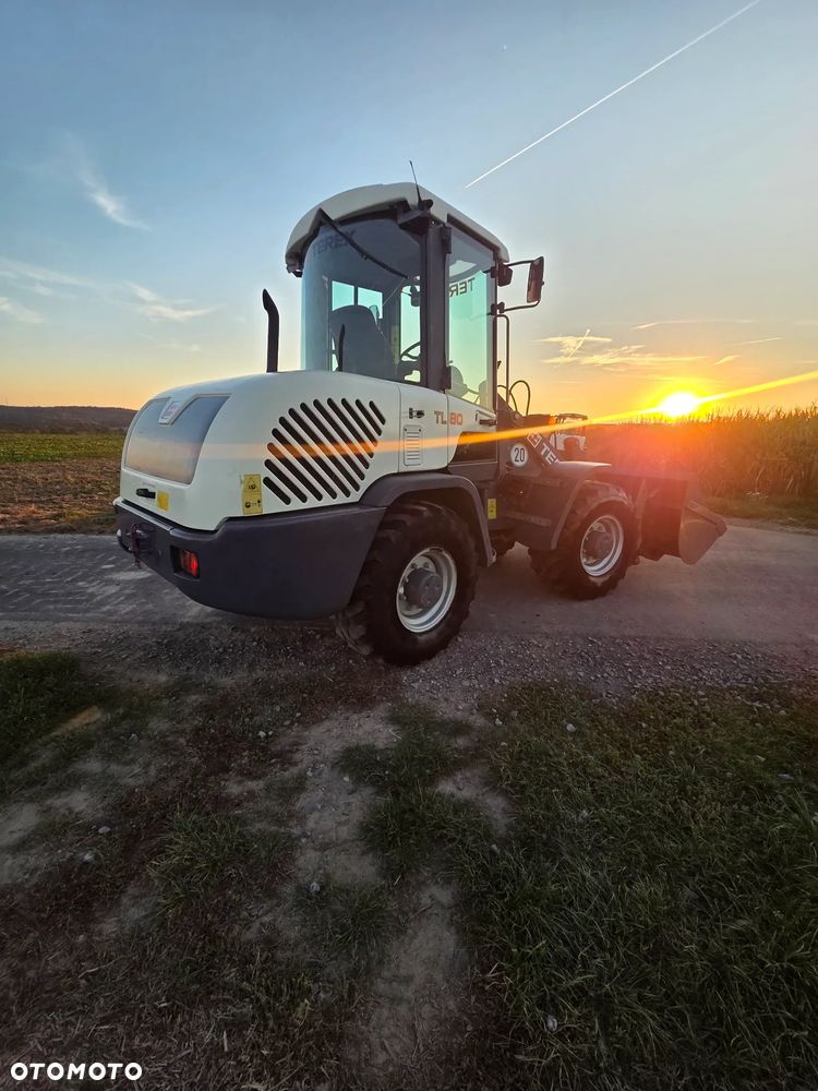 Terex TL80 TL65 TL100 - 4