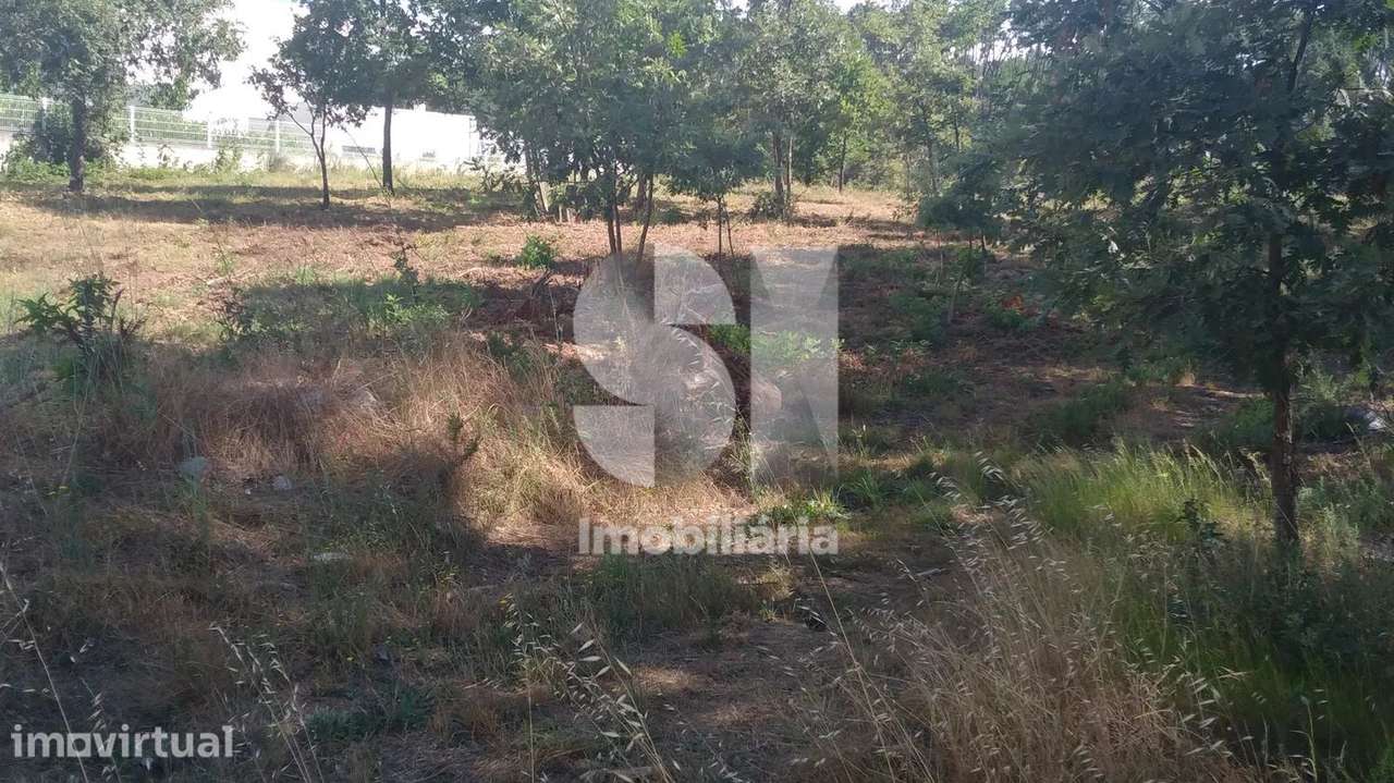 Lote para venda - Grande imagem: 5/6