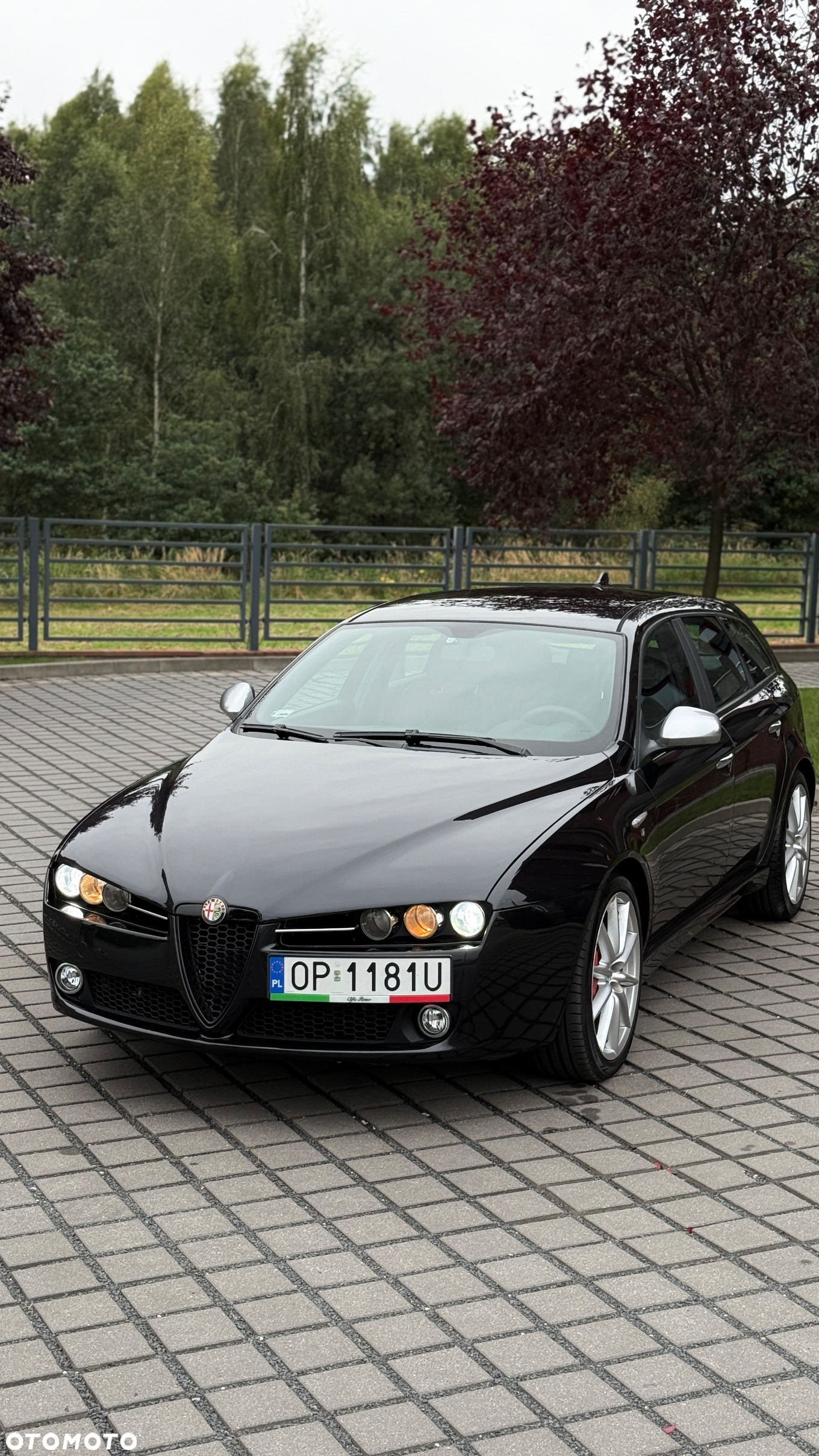 Alfa Romeo 159 1.9 JTDM 16V DPF ti - 40