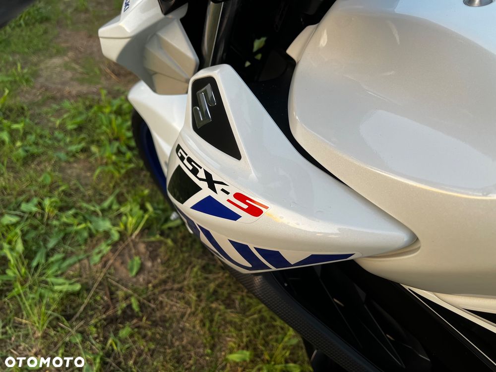 Suzuki GSX - 10