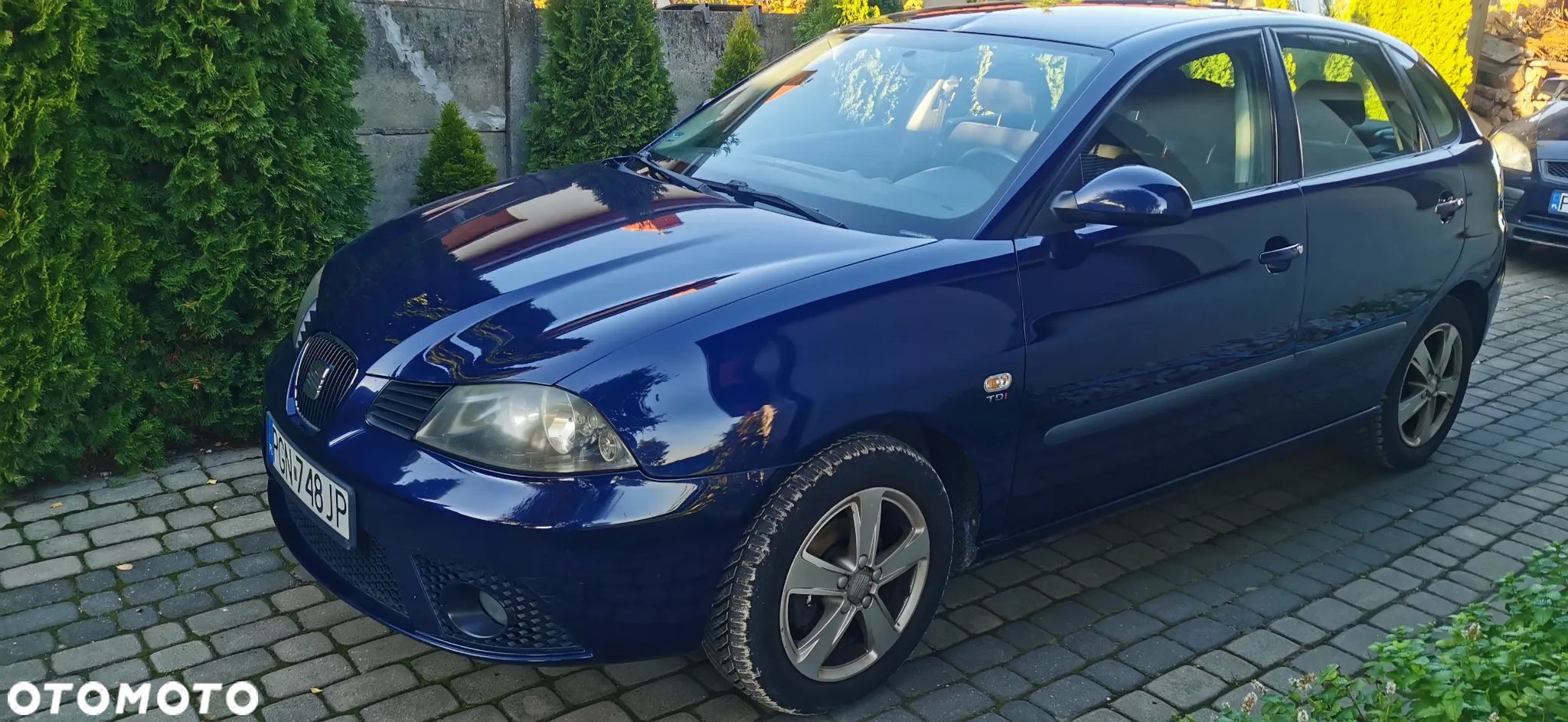Seat Ibiza - 1