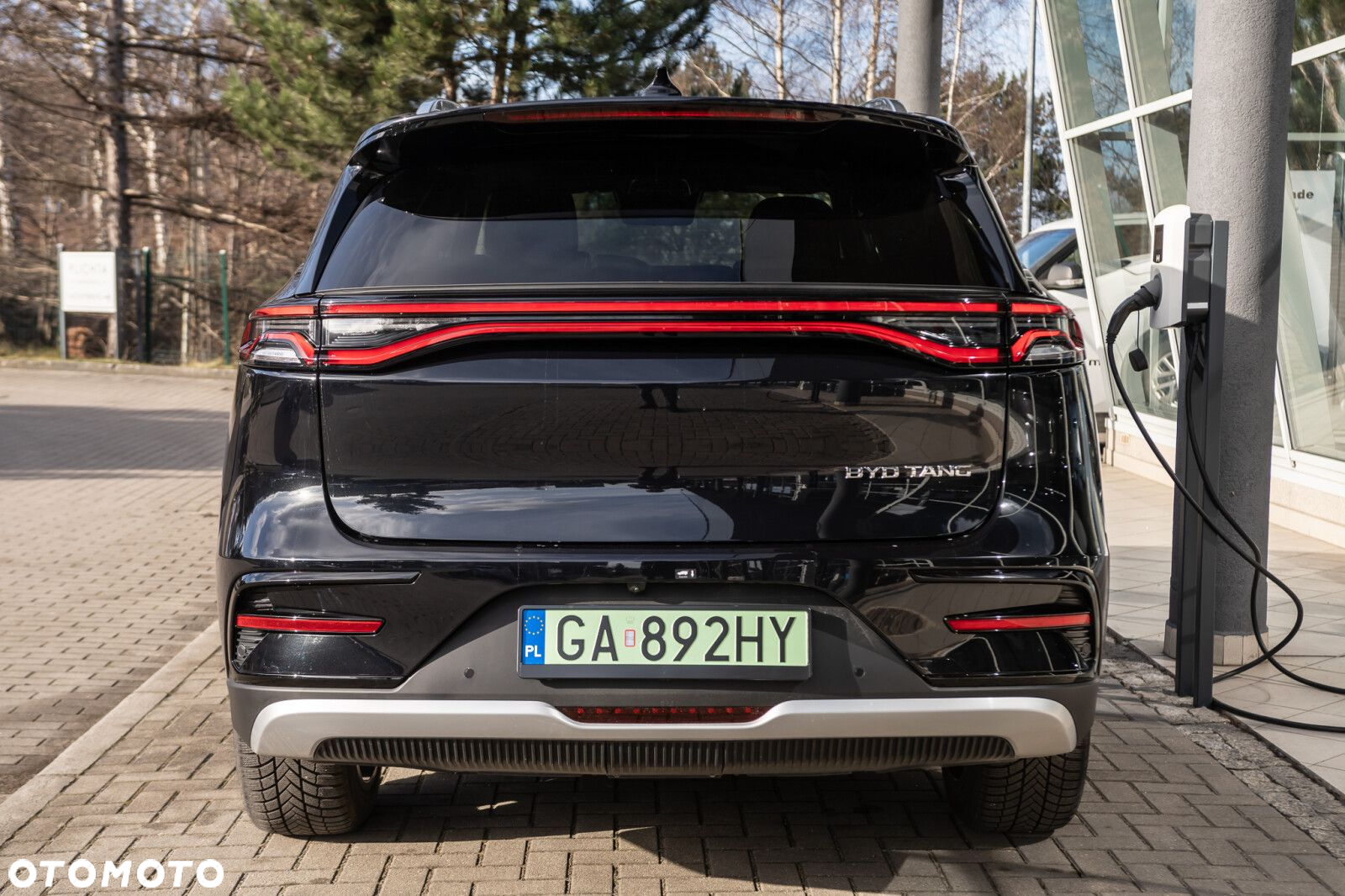 BYD Tang - 4
