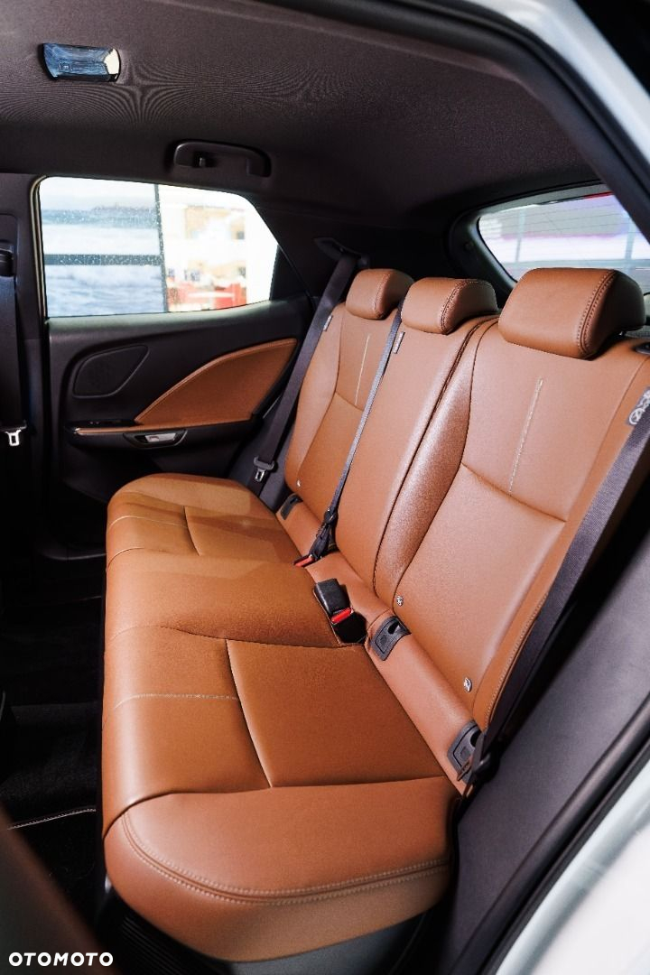 Lexus LBX - 10