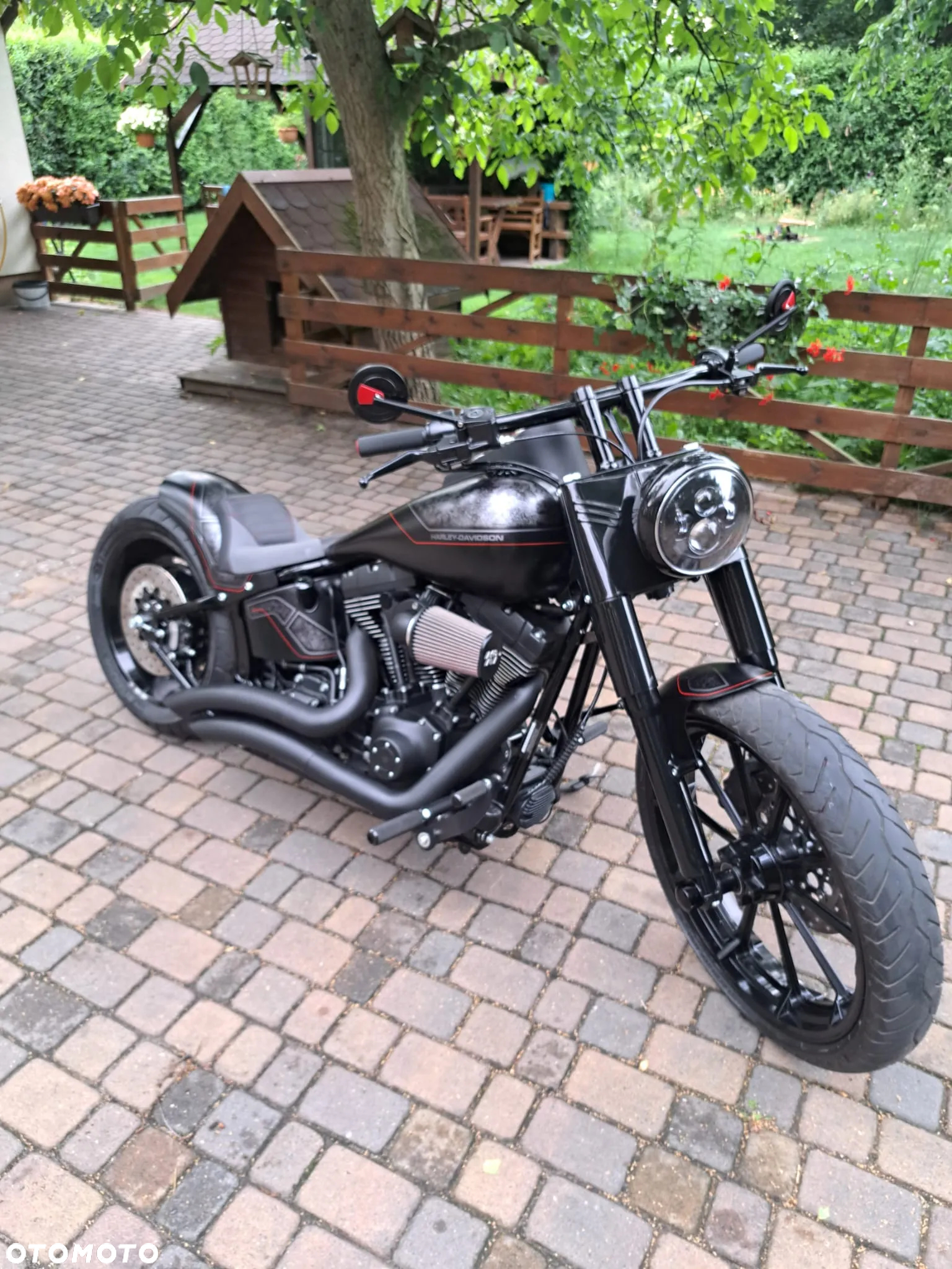 Harley-Davidson Softail Custom - 9