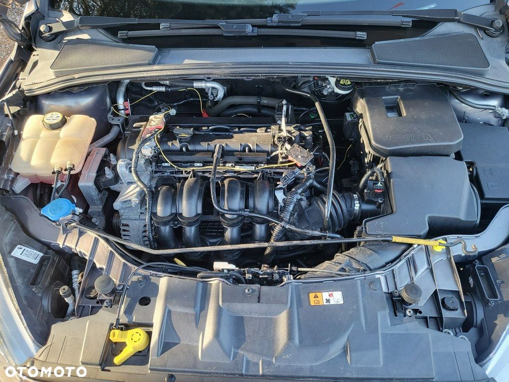 Ford Focus - 23