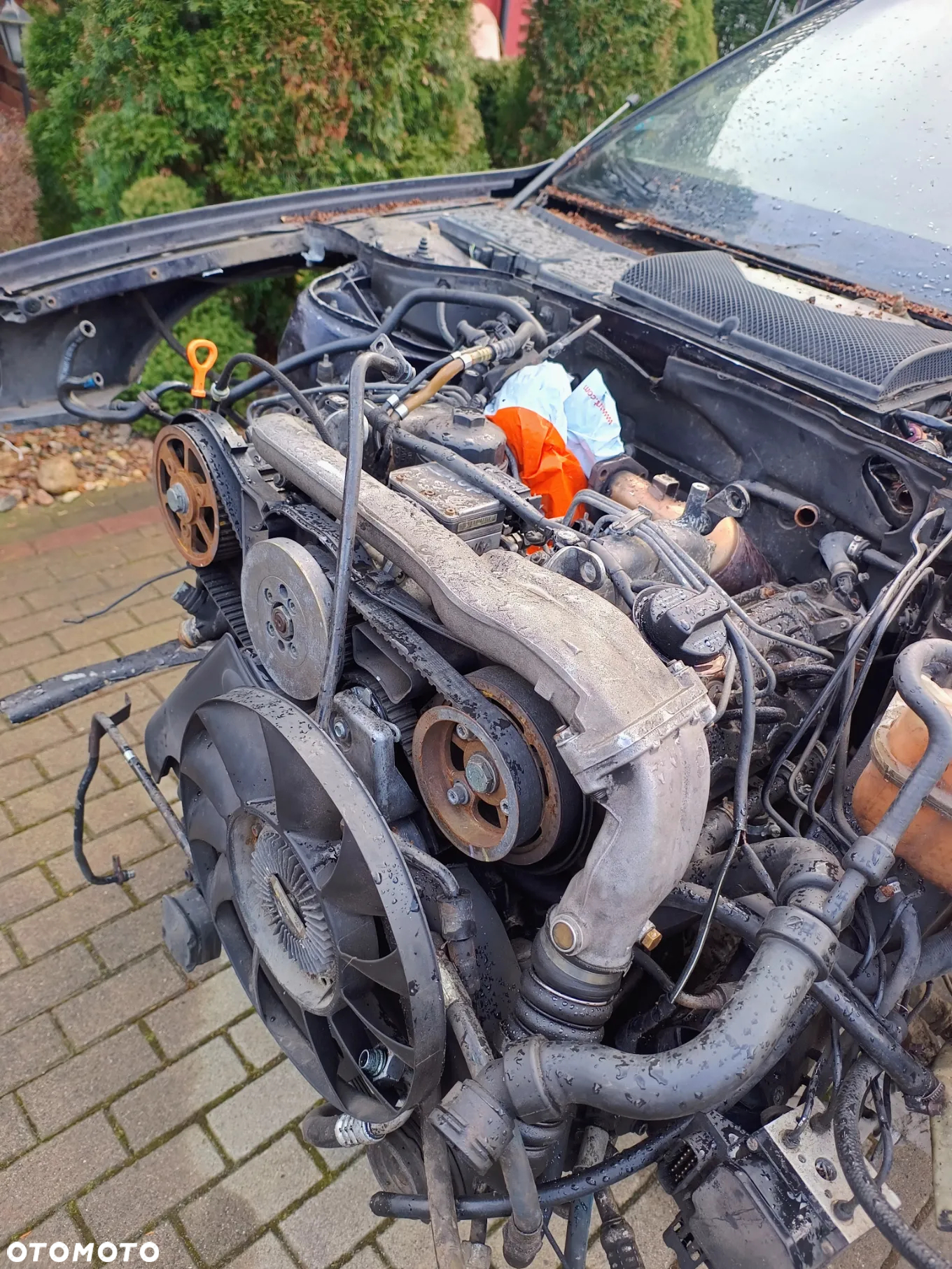 Audi A8 D2 2.5TDI kompletny silnik uszkodzona pompa - 2