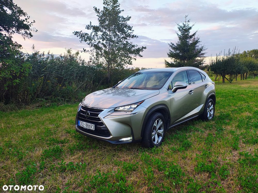 Lexus NX - 1