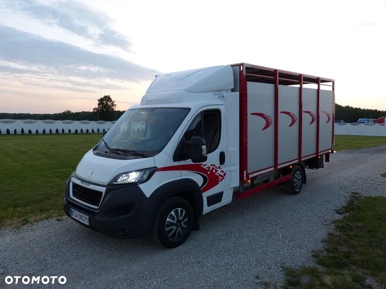 Peugeot BOXER DO ŻYWCA / ZWIERZĄT / BYDŁA / TRZODY CHLEWNEJ / EURO 6 / KAT. B / STAN PERFECT - 2