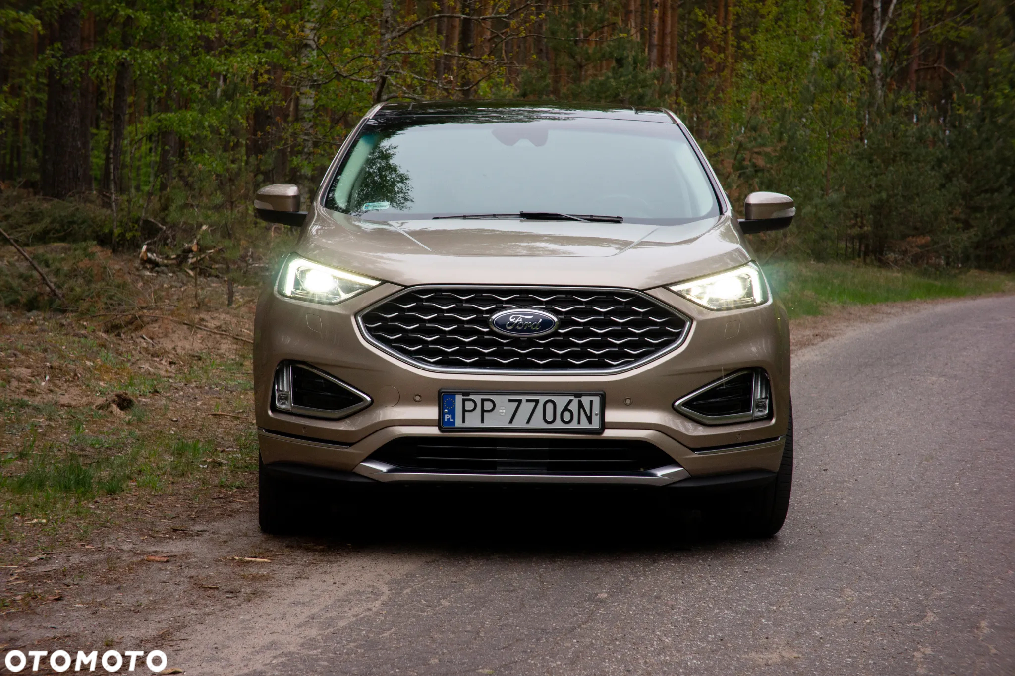 Ford Edge 2.0 EcoBlue Twin-Turbo 4WD Vignale - 10